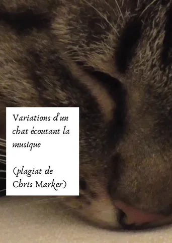 Variations of a cat listening to music (Chris Marker plagiarism) poster