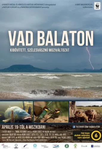 Balaton poster