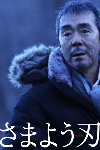 The Hovering Blade poster