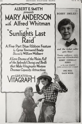 Sunlight's Last Raid poster