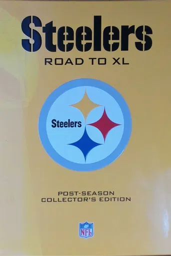 Pittsburgh Steelers Road to Super Bowl XL poster