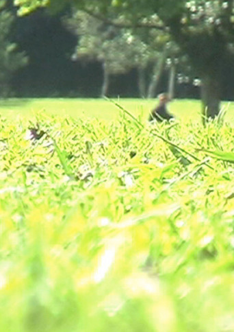 Body of Crime poster