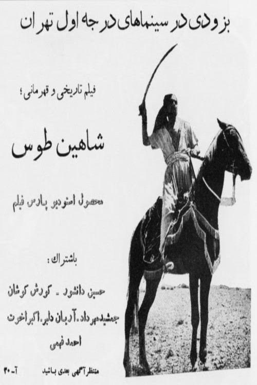 Shahin Toos poster
