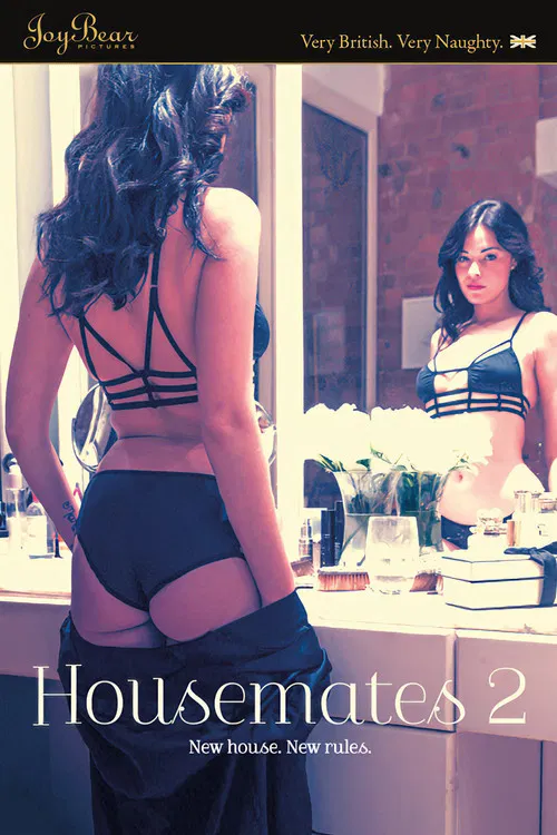 Housemates 2 poster