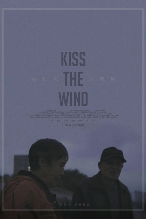 Kiss the Wind poster