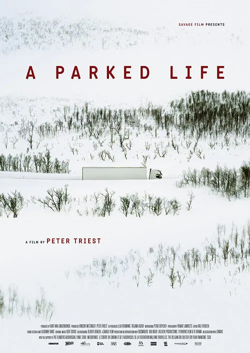 A Parked Life poster