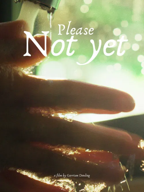 Please, Not Yet poster