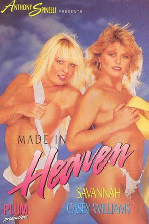 Made in Heaven poster