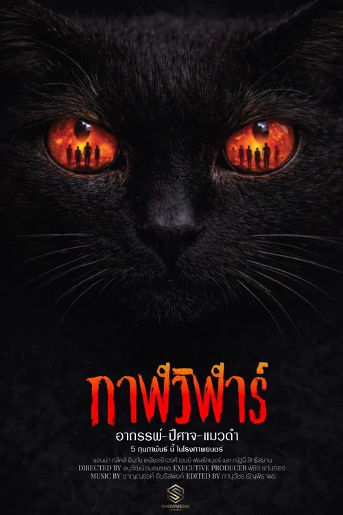 Devil Black Cat poster