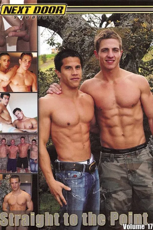 Straight to the Point Volume 17 poster