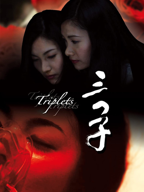 Triplets poster