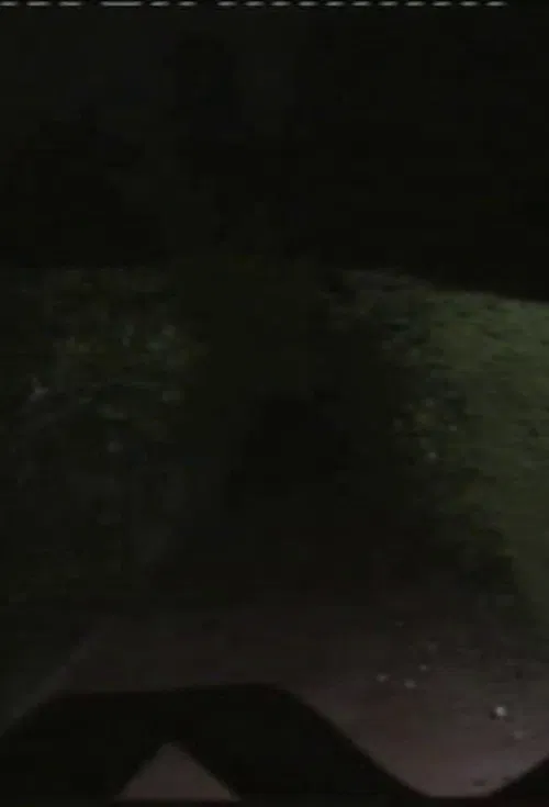 Vórtice Magnético ou Mecanismo de Dobra Fantasmática poster