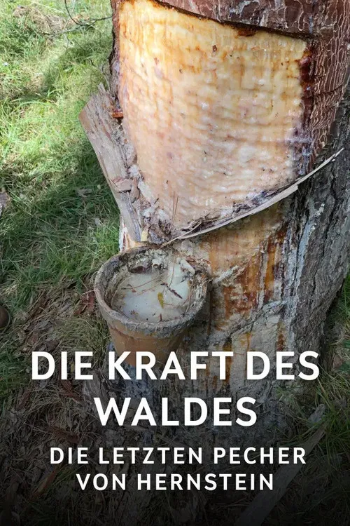 Die Kraft des Waldes - Die letzten Pecher von Hernstein poster