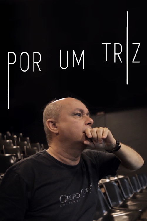 Por um triz poster