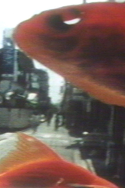 Lenz of Spinoza poster