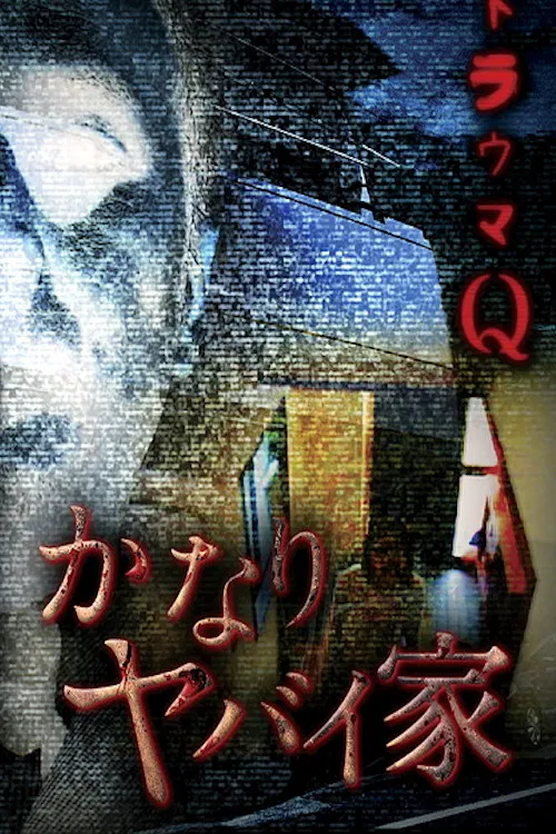 Trauma Q: Pretty Dangerous House poster