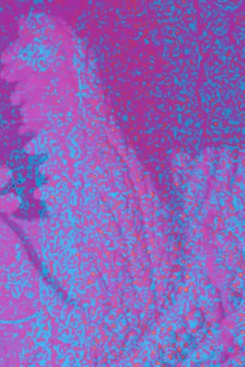 Jeb Rex Memorial Video poster