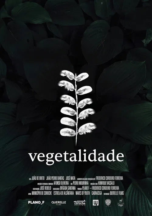 Vegetalidade poster