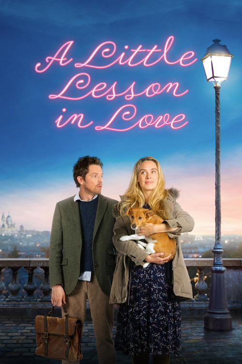 A Little Lesson in Love poster