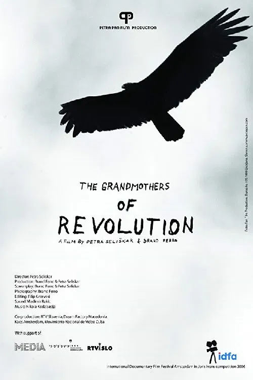 The Grandmothers of the Revolution poster