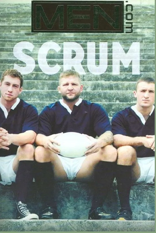 Scrum poster