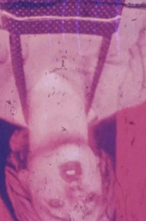 Mis en pièces poster