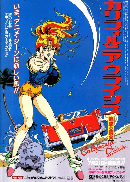 California Crisis: Gun Salvo poster