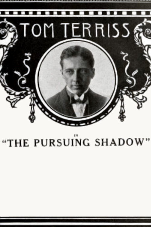 The Pursuing Shadow poster