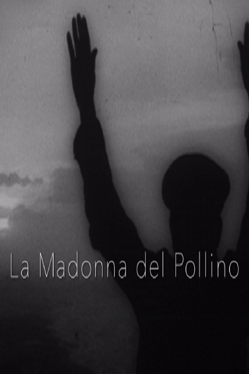 La Madonna del Pollino poster