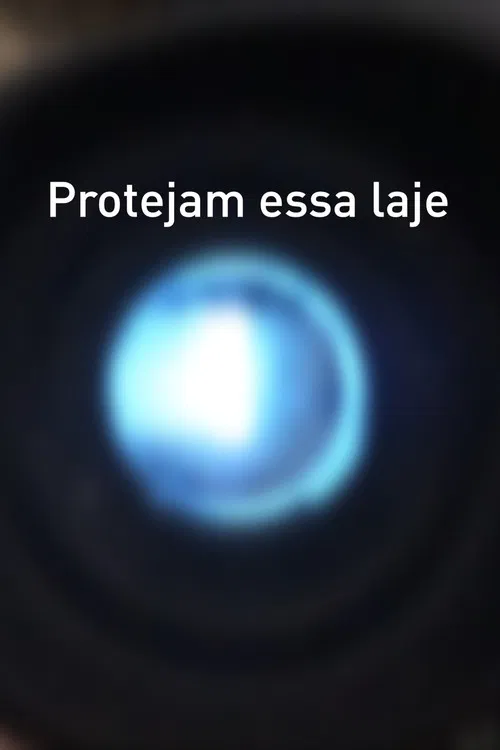 Protejam essa laje poster