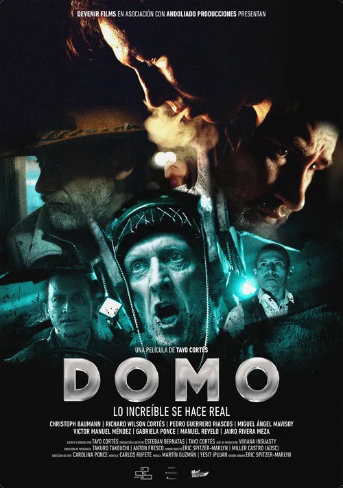 Domo poster