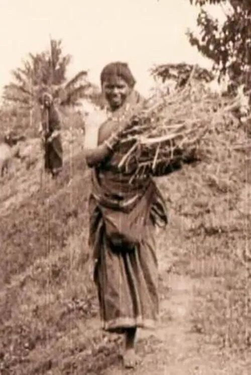 Edward Prince of Wales' Tour of India: Peshawar, The Khyber Pass and Rawl Pindi poster