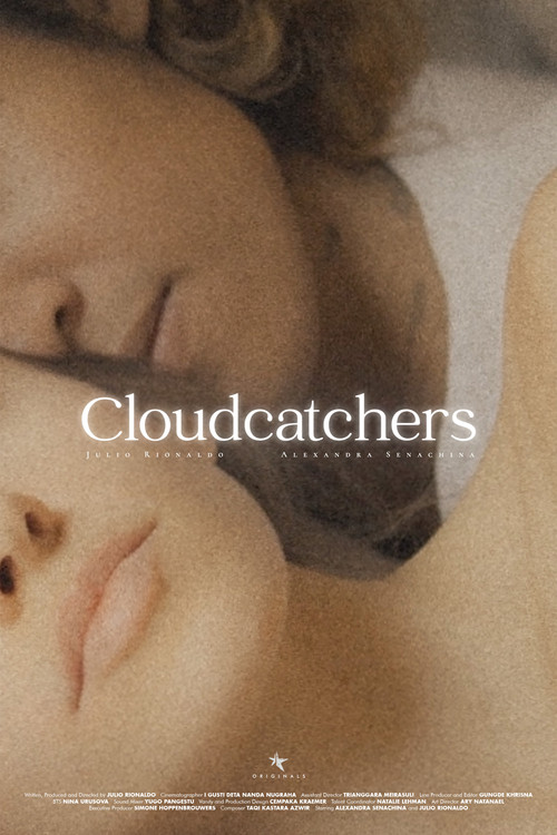 Cloudcatchers poster