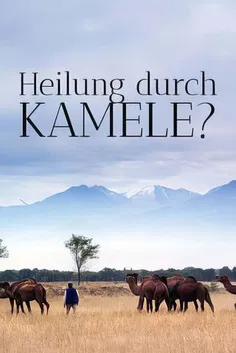 Un remède de chameau - La révolution des nanocorps poster