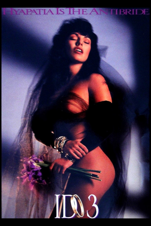 I Do Part 3: The Other Woman poster