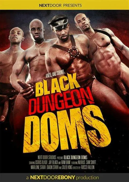 Black Dungeon Doms poster