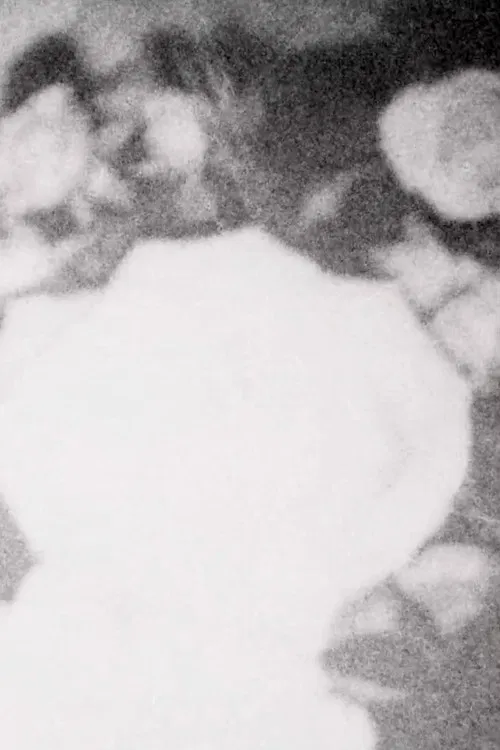 grand-maman Piano poster