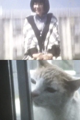 Have You Ever Tried Shiro-noir? poster