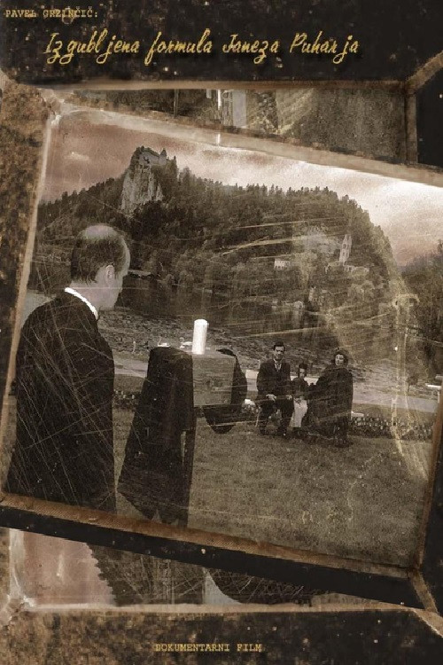 Janez Puhar's Missing Formula poster