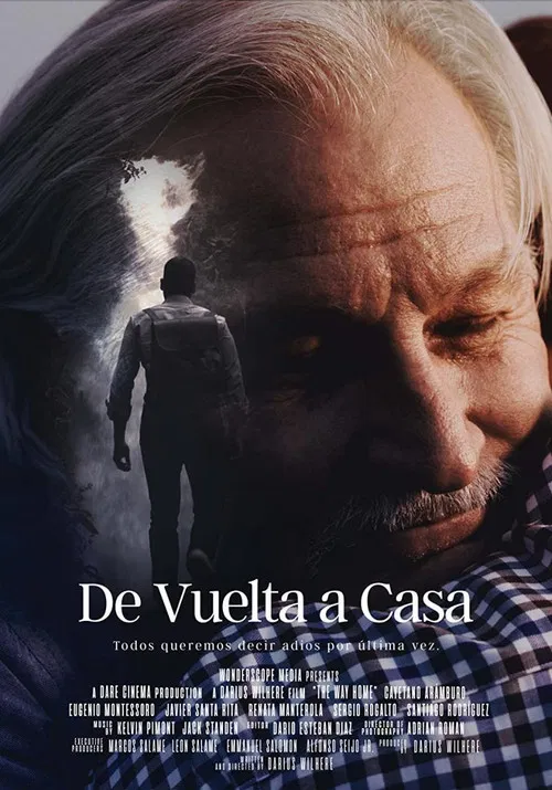 De vuelta a casa poster