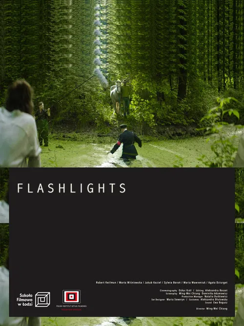 Flashlights poster