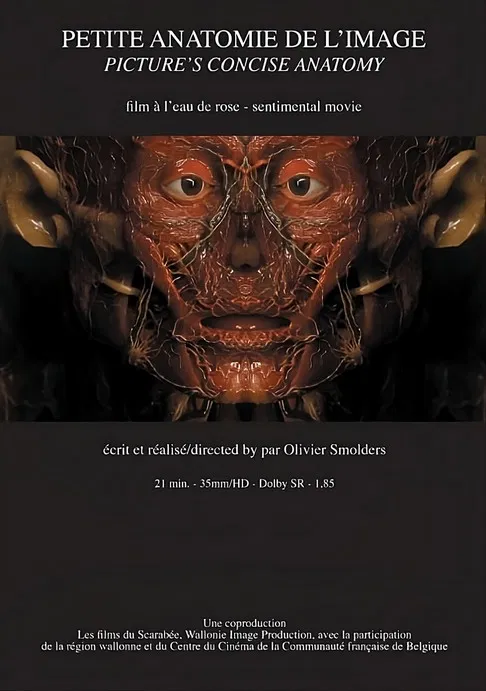 Petite anatomie de l'image poster