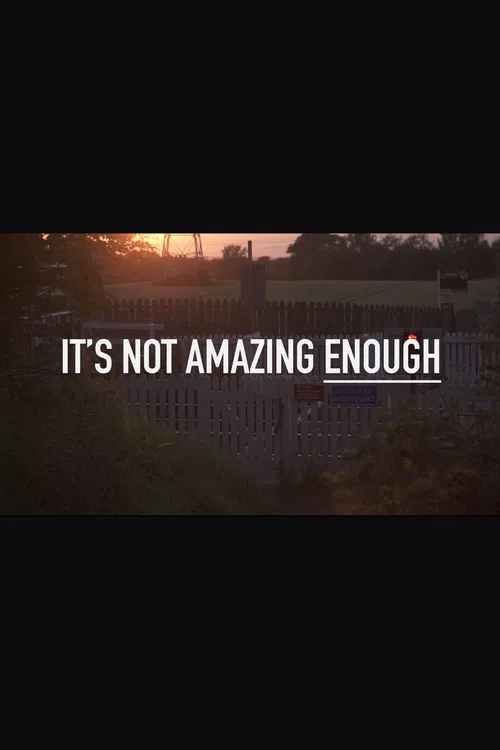It's Not Amazing Enough poster