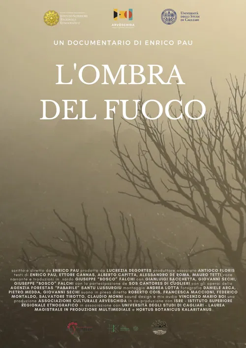 L'ombra del fuoco poster