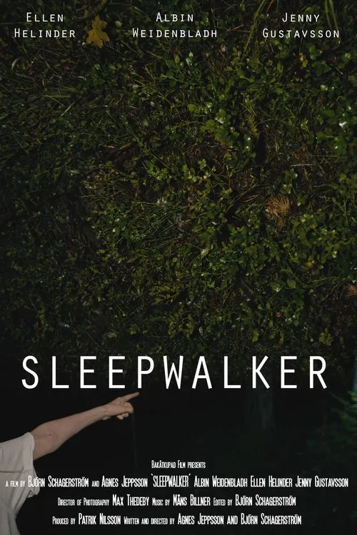 Sleepwalker poster