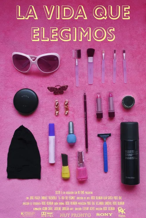 The Life We Have Chosen poster