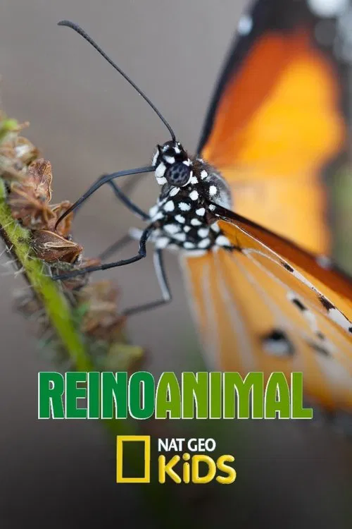 Reino Animal poster