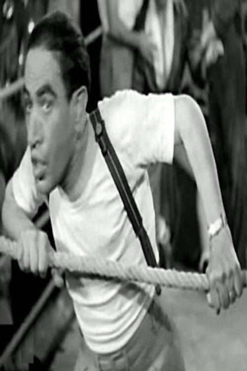 Ali Tabangat profile