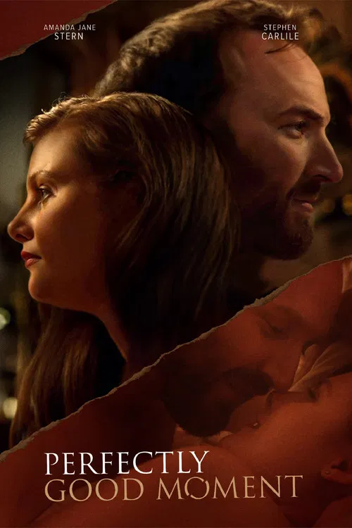 Perfectly Good Moment poster