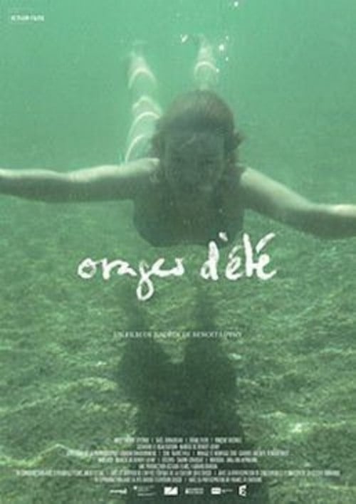 Orages d'été poster